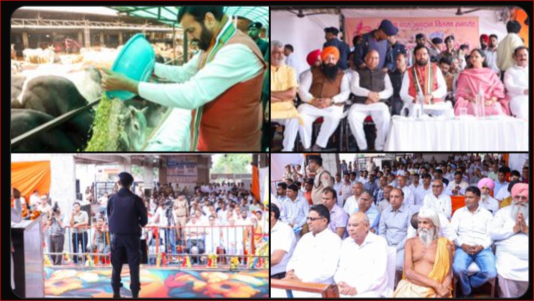 Haryana Offers Free Platelets for Dengue