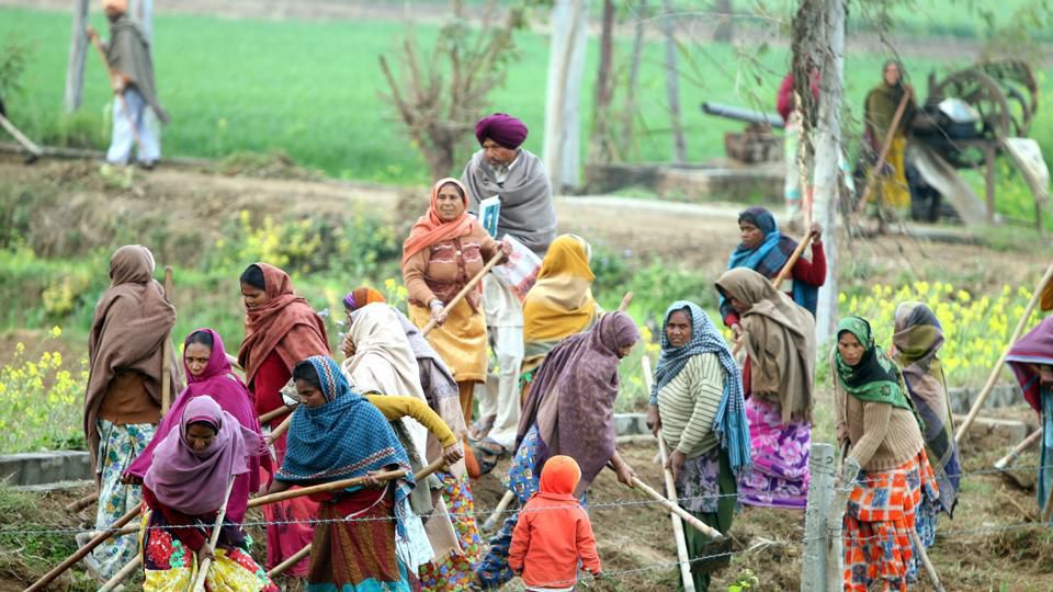 Major Change in NREGA: Now, Full Wages Will Be Received Even for Working at Home