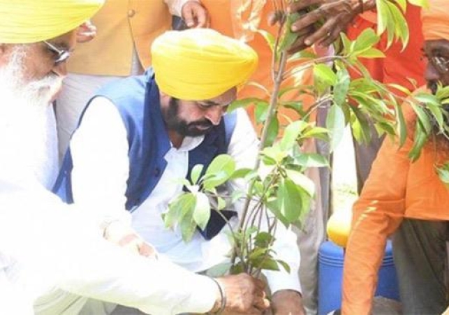 Mann Government’s Greening Punjab Mission