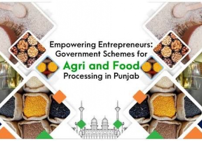 Mann Government's Remarkable Change