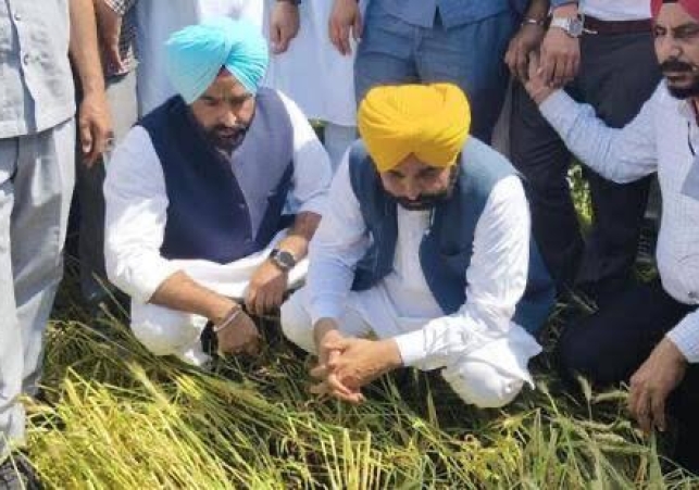 From Offices to Fields: How Punjab’s Chief Minister is redefining Farmer