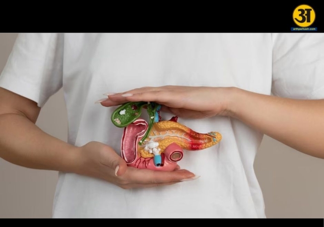 4 common pancreatic cancer myths debunked with real facts