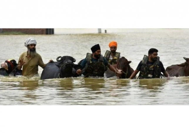 A True Savior of Animals and Humans Alike