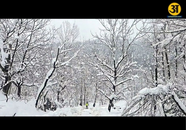 Avalanche warning issued for Uttarakhand high altitude areas after fresh snowfall