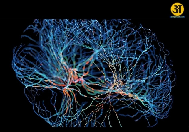Biological computing edges closer as human neurons 