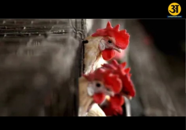 Bird flu outbreak in Kerala