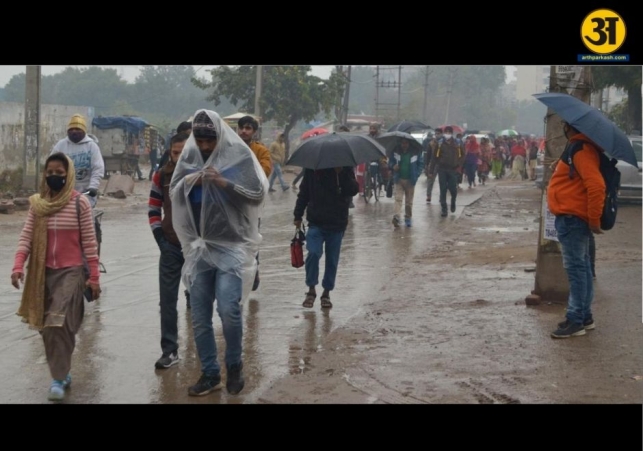 Chandigarh records wettest January day in four years after heavy rain