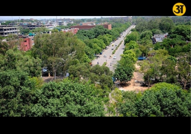 Chandigarh’s forest cover reaches nearly 22% of total area
