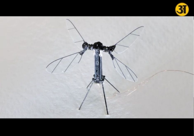China develops mosquito sized drones that may change future warfare