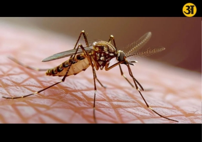Dengue is not just another fever