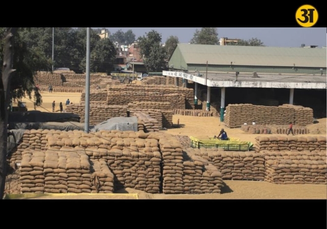 Four officials arrested in Karnal over alleged multi crore paddy procurement scam
