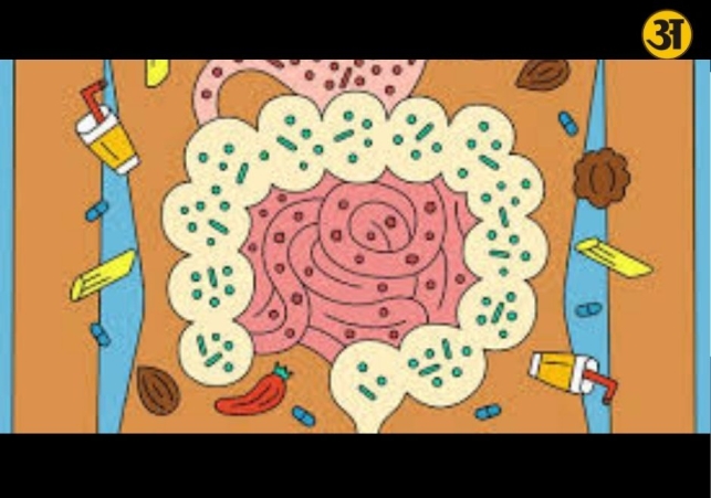 Gut health expert clears common myths about probiotics and digestive health