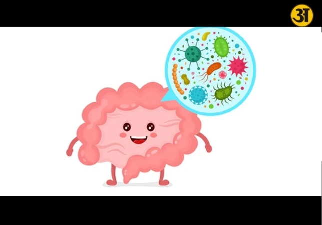 How your gut health plays a key role in building immunity