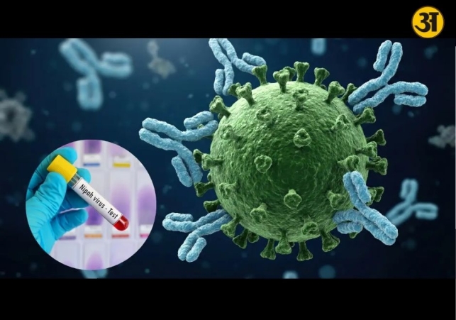 Nipah virus myths and medical facts