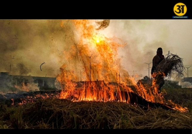 Over half of this seasons stubble burning cases recorded in Punjab during November