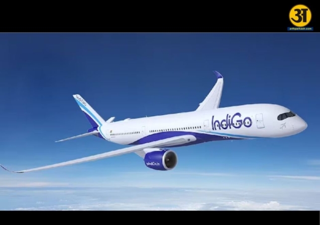 Six 6E ideas to keep IndiGo flying high and profitable