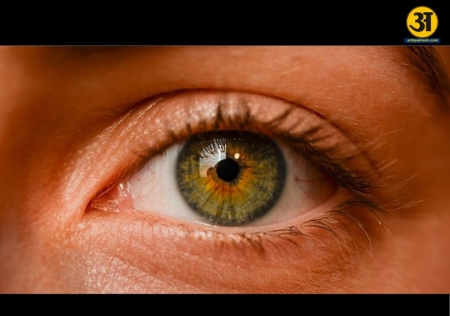 Understanding trachoma