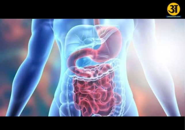 Why digestion becomes weak in summer and how to keep it healthy