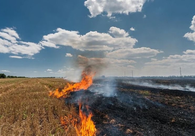 Centre Praises Mann Sarkar