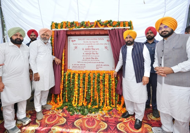 Bhagwant Mann Govt Launches Underground Electricity Wiring Project