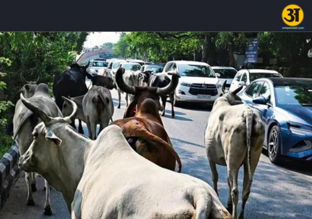 nhai