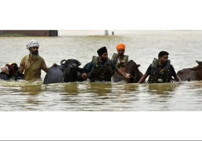 A True Savior of Animals and Humans Alike