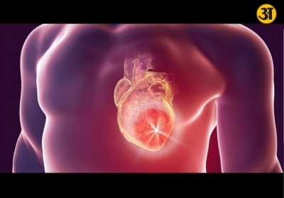 Can your heart get cancer