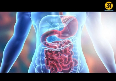 Could poor digestion be causing your body pain