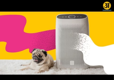 Experts question if air purifiers truly protect lungs from severe infections