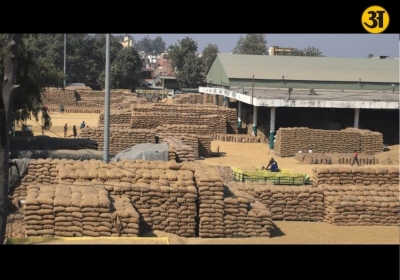 Four officials arrested in Karnal over alleged multi crore paddy procurement scam