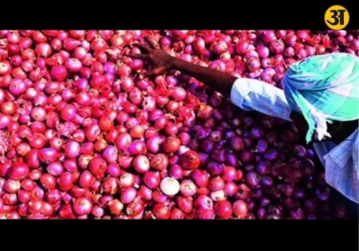 Government raises onion procurement price by 24 per cent to support farmers