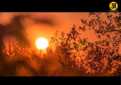 Haryana and Punjab see above normal heat