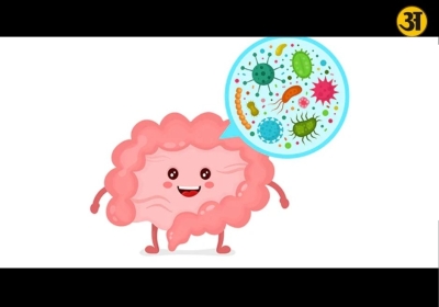 How your gut health plays a key role in building immunity