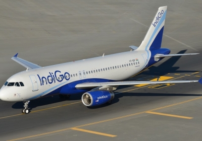 IndiGo