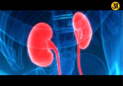 Kidney inflammation warning signs