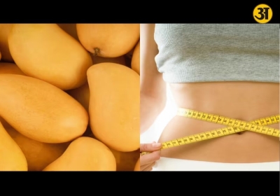 Think mangoes cause weight gain