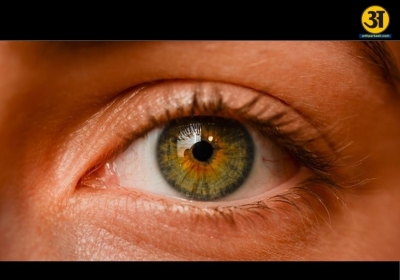 Understanding trachoma