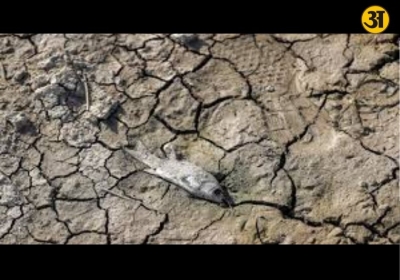 War worsens water crisis in Gulf region already facing severe scarcity
