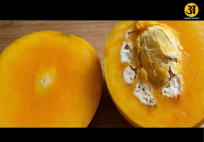 White patches inside mango explained