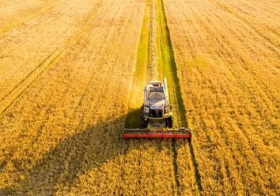 From 3,114 to 415: Stubble burning down 75% in Punjab