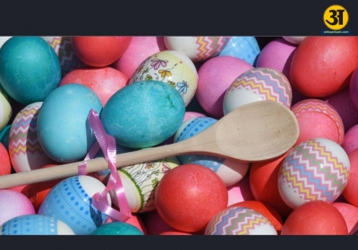 eggs