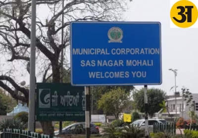 mc mohali