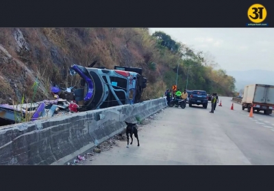 thaibus